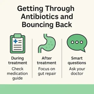 Bouncing back after antibiotics