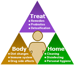 c-difficile-3-steps