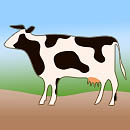 cow